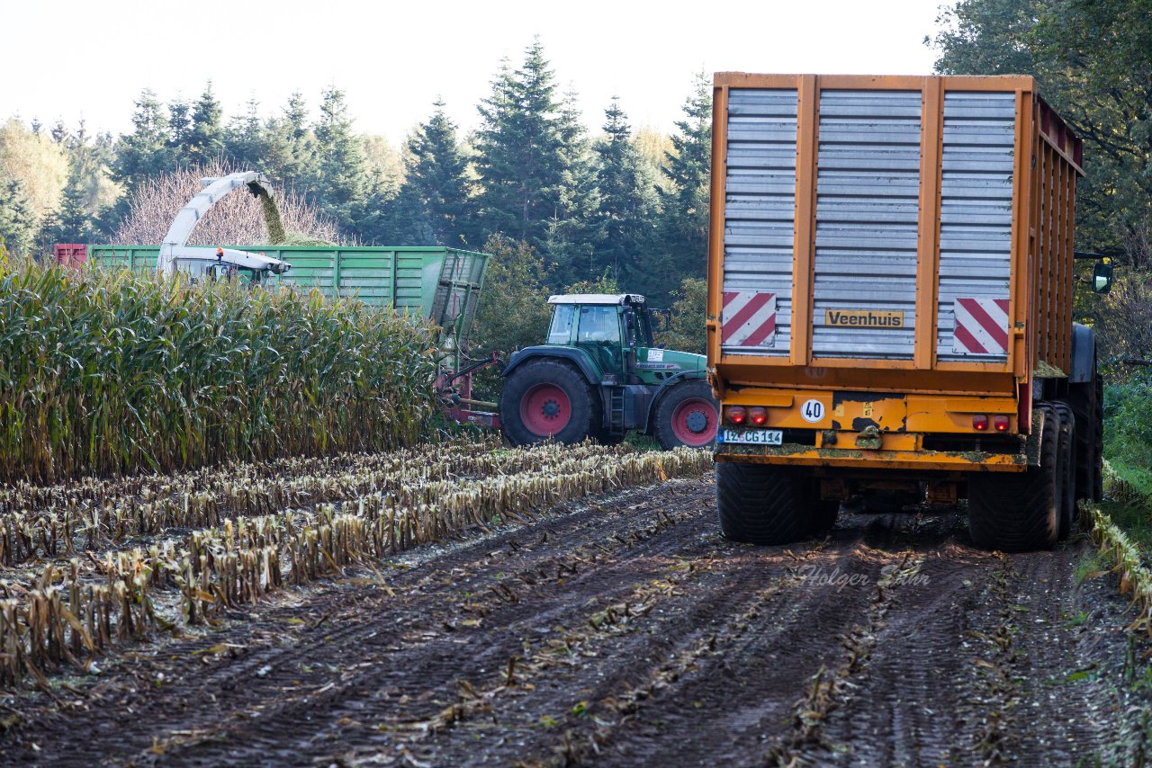 Bild 42 - Maisernte am 11.10.12